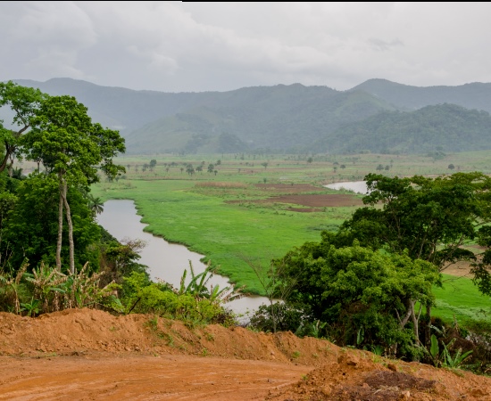 Bamenda, Cameroon_ Vibrant city with diverse agriculture and textile industries.