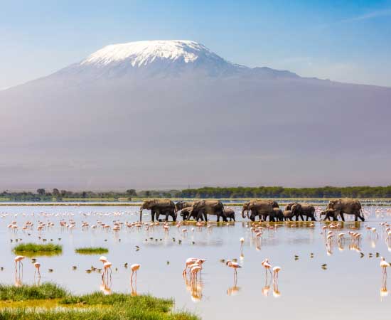 Pipe and Hose Floats in Kilimanjaro